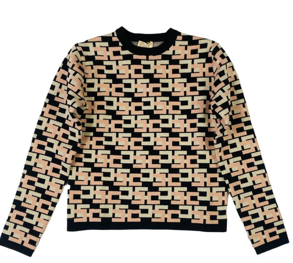 ELISABETTA FRANCHI pullover